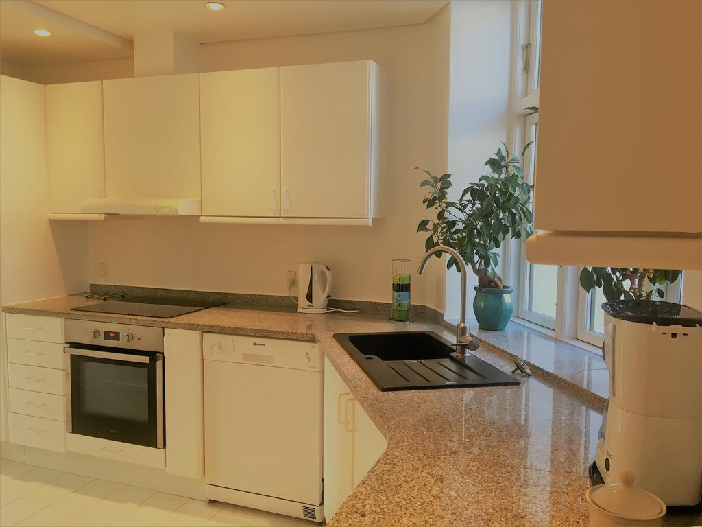 City View Apartment 哥本哈根 外观 照片